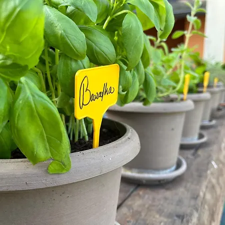 Cederika Apartmán Věžovatá Pláně